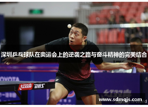 深圳乒乓球队在奥运会上的逆袭之路与奋斗精神的完美结合